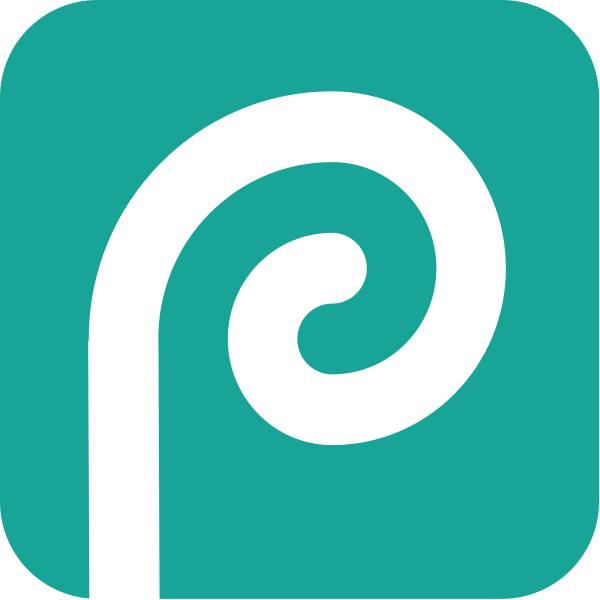 teal logo with a stylized swirly p