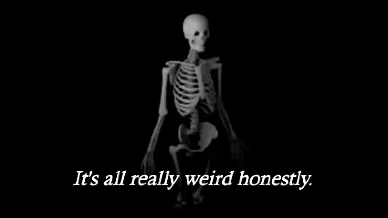 skeleton with text 'its all really weird honestly'